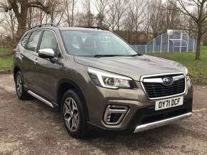 SUBARU FORESTER at Adams Brothers Isuzu Aylesbury