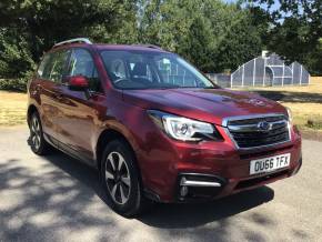 SUBARU FORESTER at Adams Brothers Isuzu Aylesbury